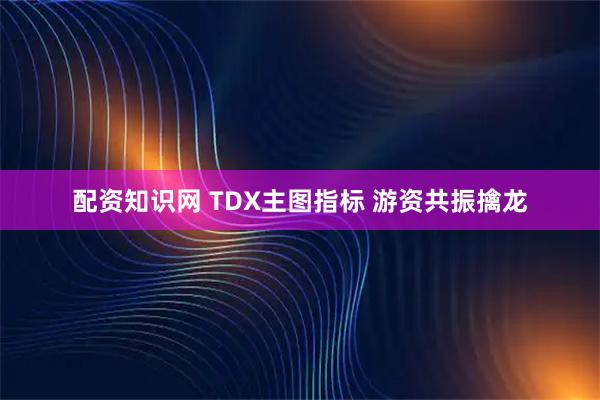 配资知识网 TDX主图指标 游资共振擒龙