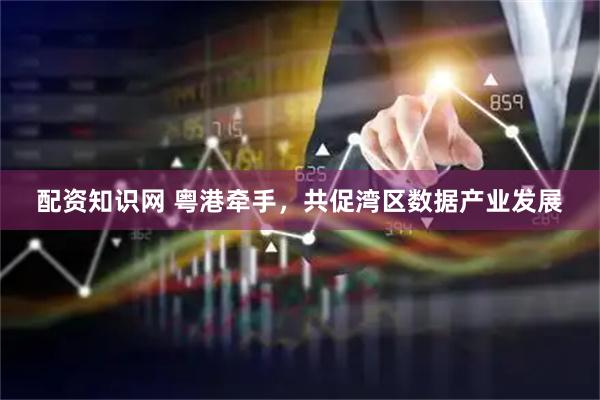 配资知识网 粤港牵手，共促湾区数据产业发展