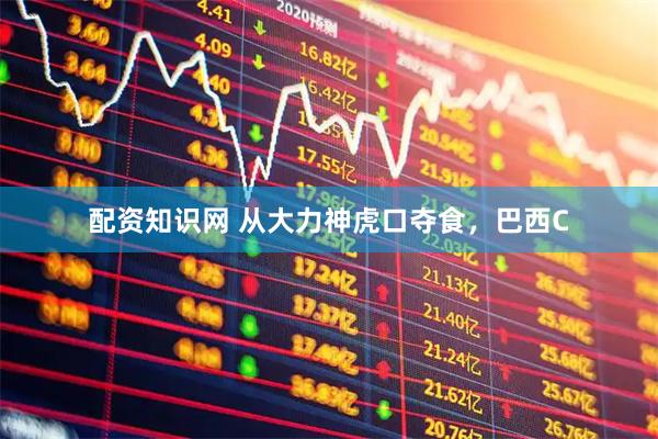 配资知识网 从大力神虎口夺食，巴西C