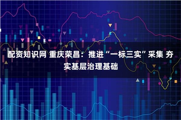 配资知识网 重庆荣昌：推进“一标三实”采集 夯实基层治理基础