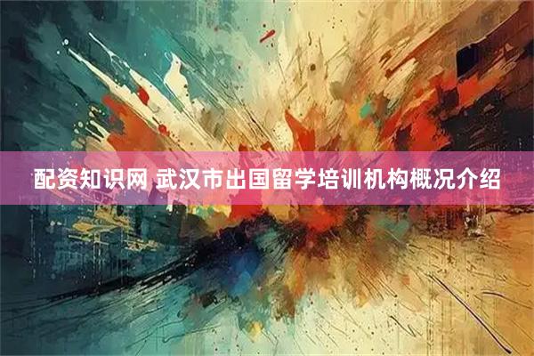 配资知识网 武汉市出国留学培训机构概况介绍